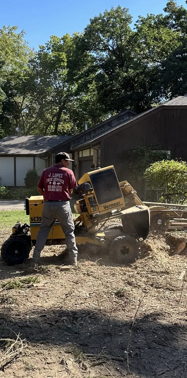 Crew member operating a stump grinder in a residential yard