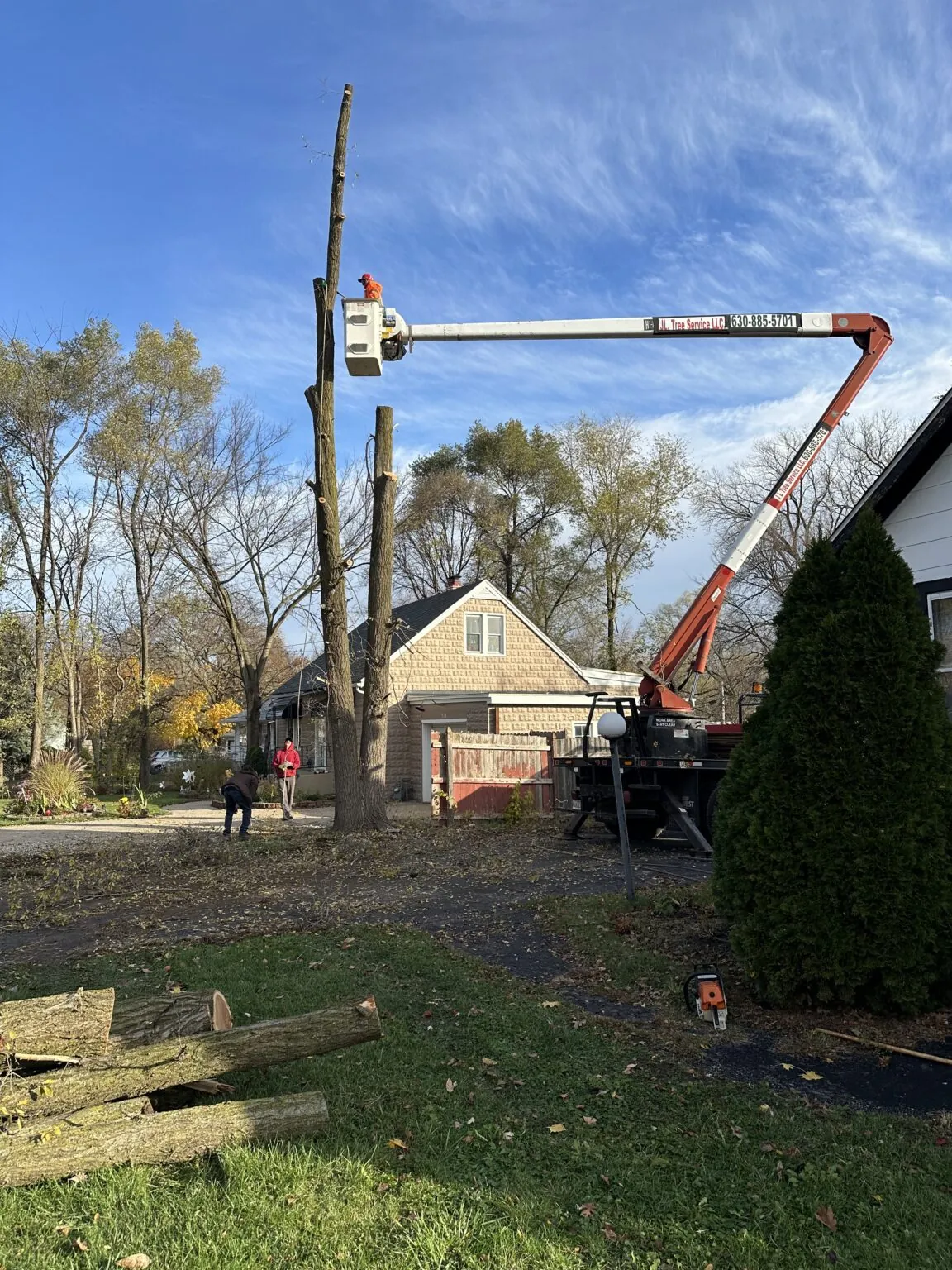 Bucket truck crew trimming a tall tree beside a home
