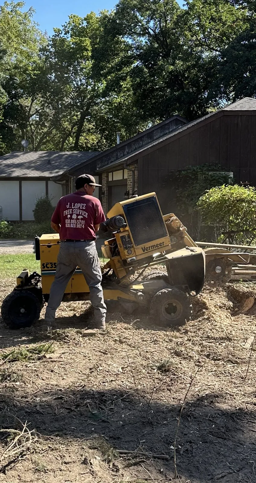 Crew member grinding a stump next to a house